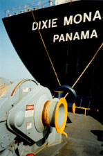 Dixie Monarch